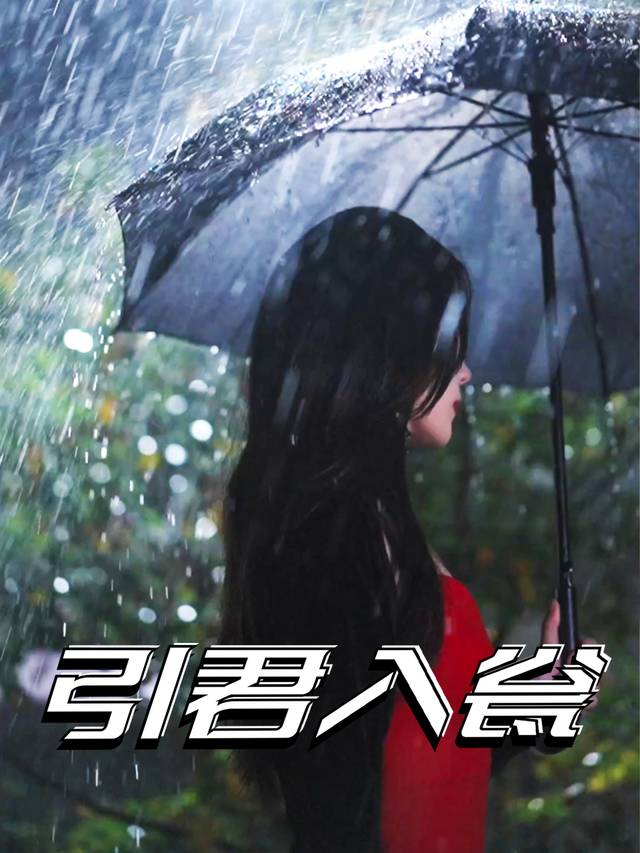 引君入瓮封面