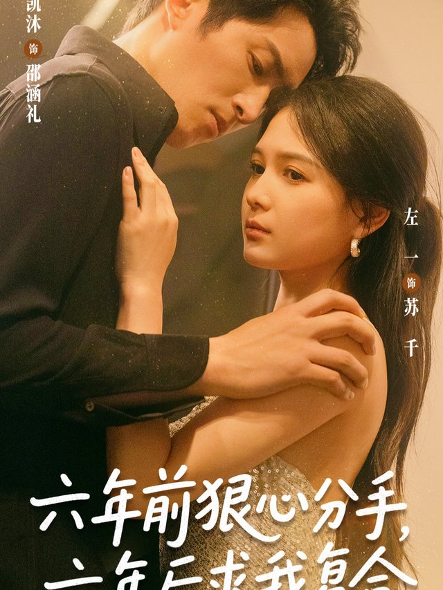 六年前狠心分手,六年后求我复合封面