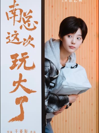 南总，这次玩大了封面