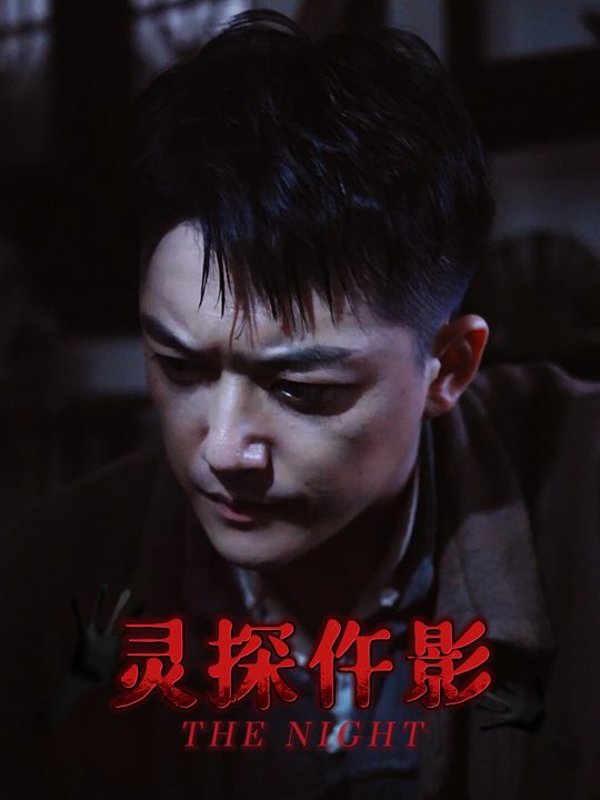 灵探仵影封面