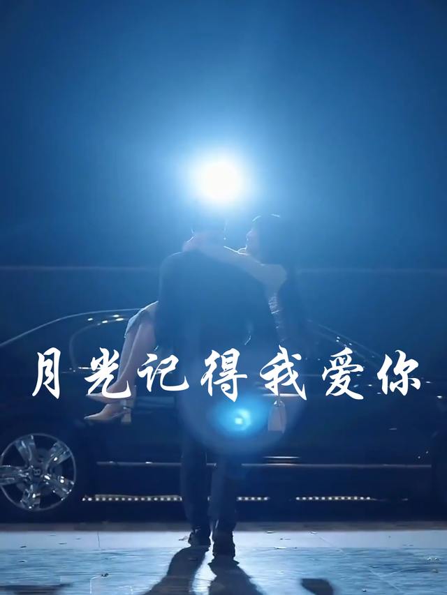 月光记得我爱你封面
