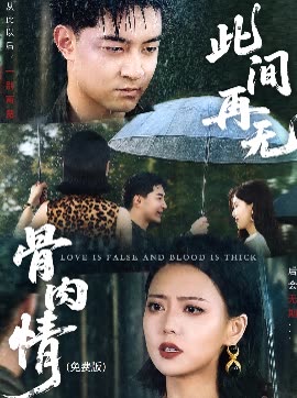此间再无骨肉情()封面