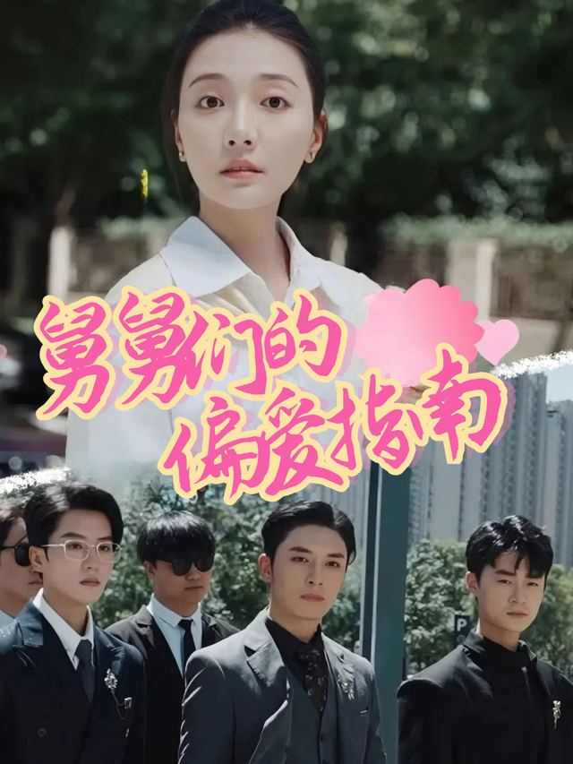 舅舅们的偏爱指南封面
