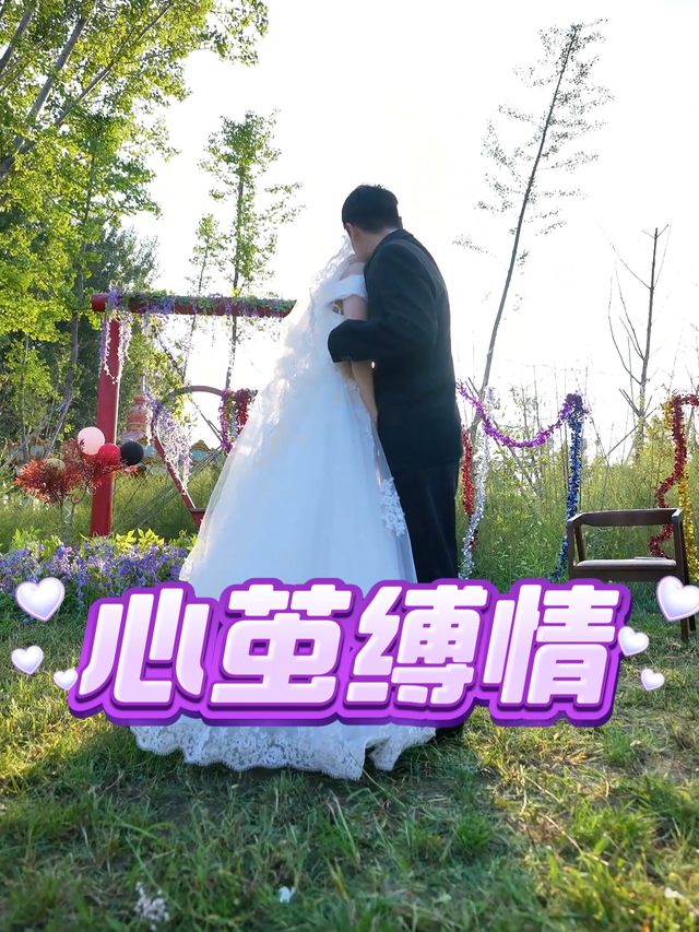 心茧缚情封面