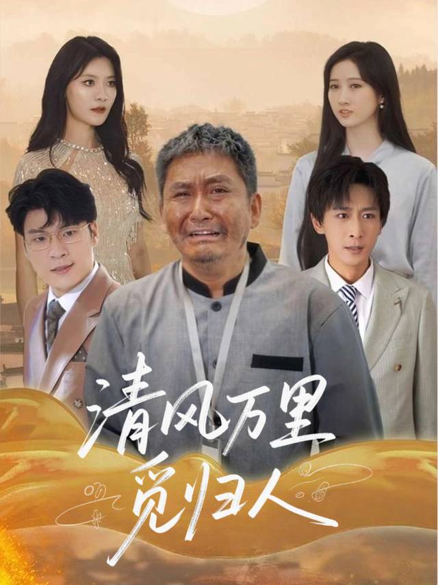清风万里觅归人封面