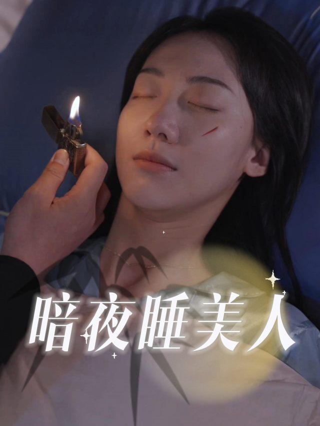 暗夜睡美人封面