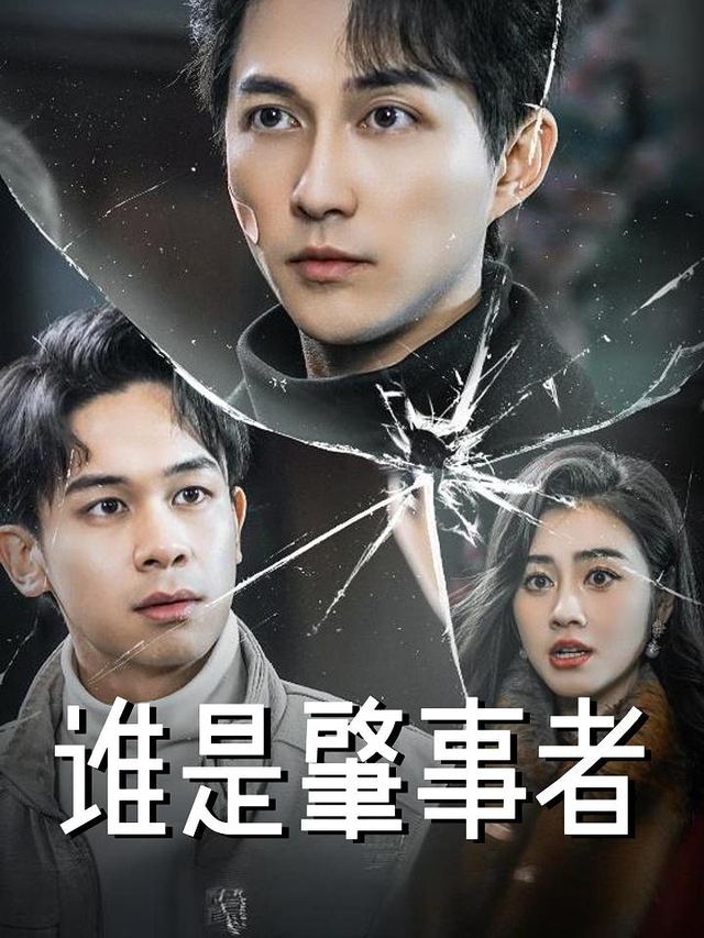 谁是肇事者封面