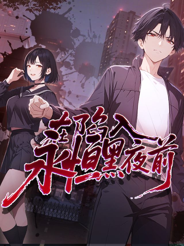 在陷入永恒黑夜前封面