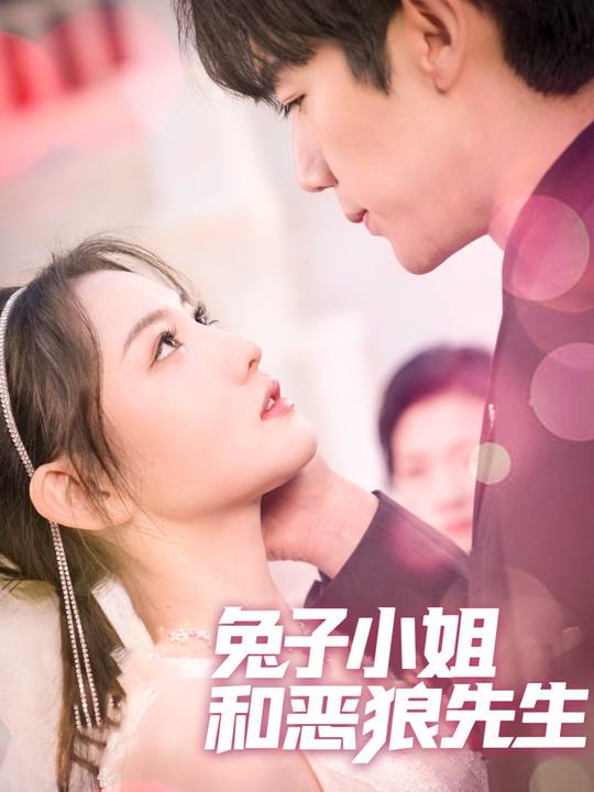 兔子小姐和恶狼先生封面