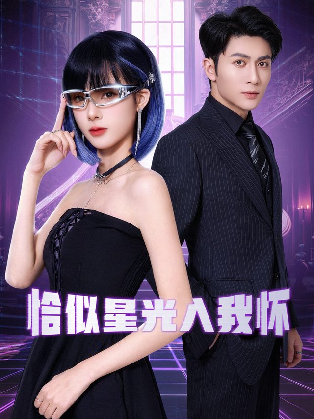 恰似星光入我怀封面