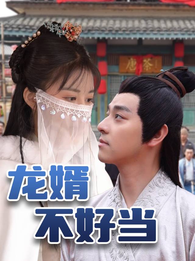 龙婿不好当封面
