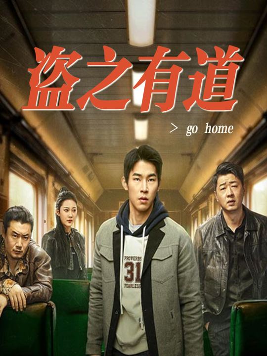 盗之有道封面
