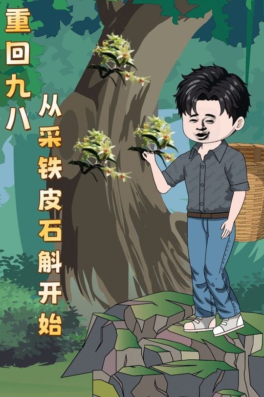 重回九八,从采铁皮石斛开始封面
