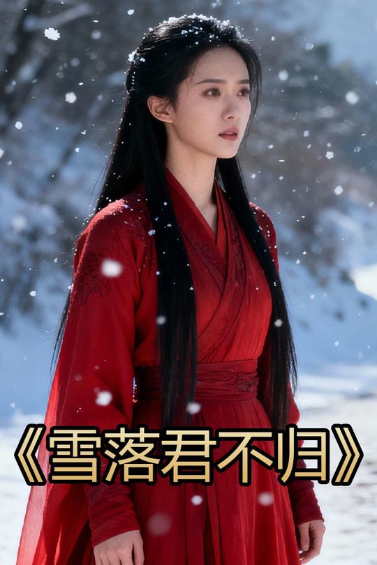 雪落君不归封面