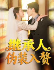 继承人伪装入赘封面