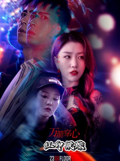 万箭穿心：红印疑踪封面
