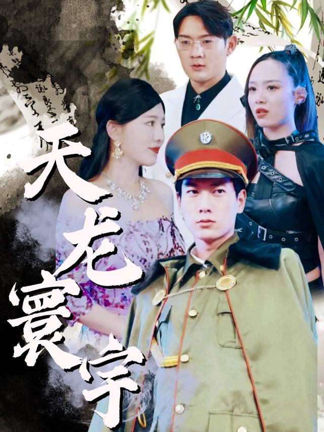 天龙寰宇封面