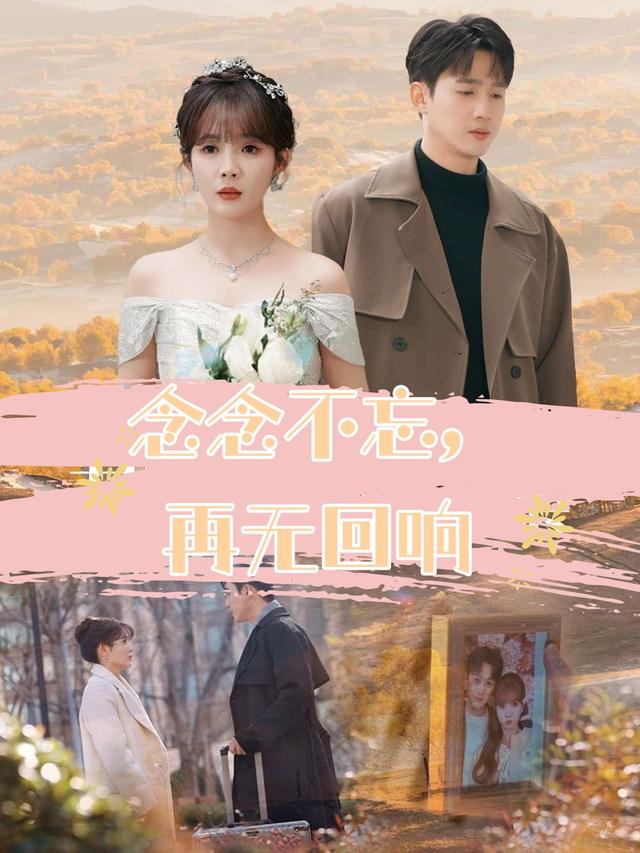 念念不忘,再无回响封面