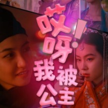 哎呀!我被公主包围了封面