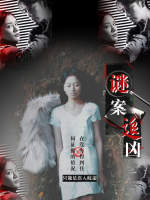 谜案追凶封面