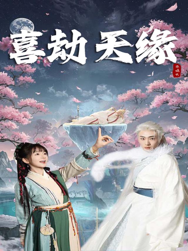 喜劫天缘封面