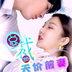 总裁的天价前妻封面