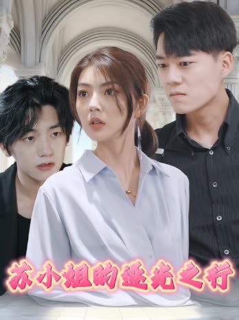 苏小姐的逐光之行封面