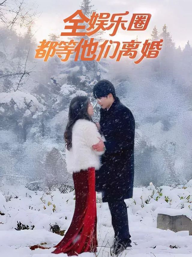 全娱乐圈都等他们离婚封面