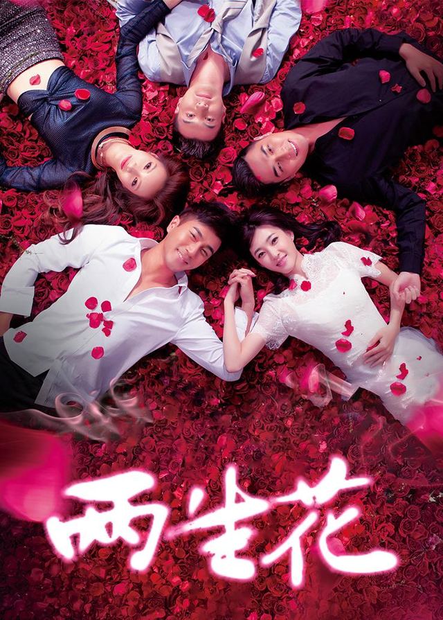 两生花(2)封面