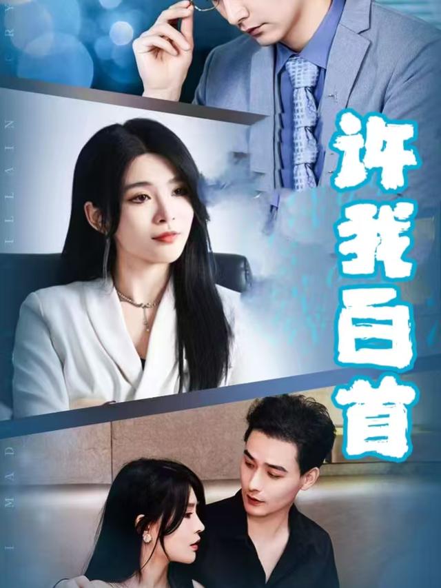 许我白首封面