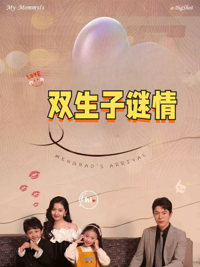 双生子谜情封面