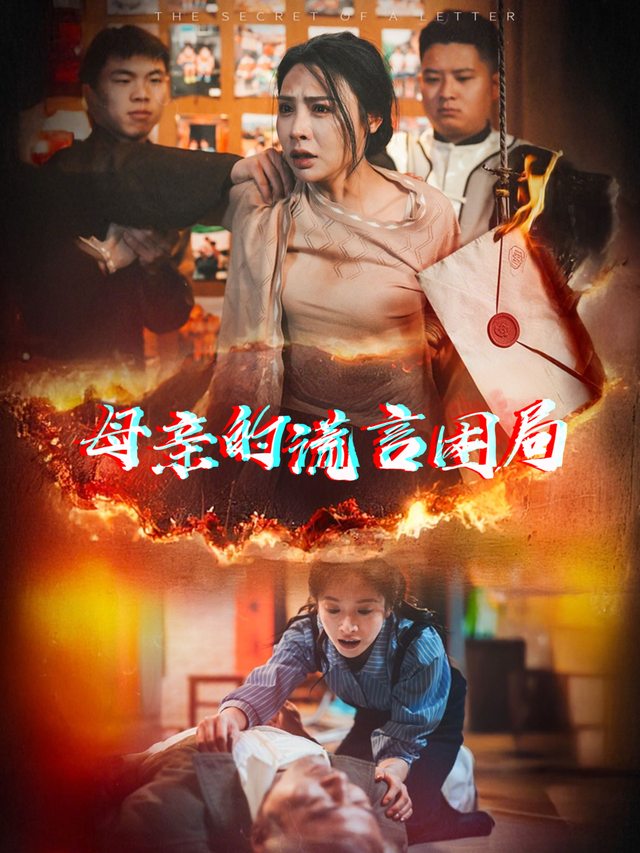 母亲的谎言困局封面