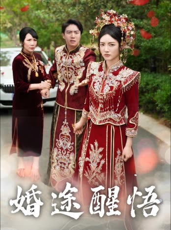 婚途醒悟封面