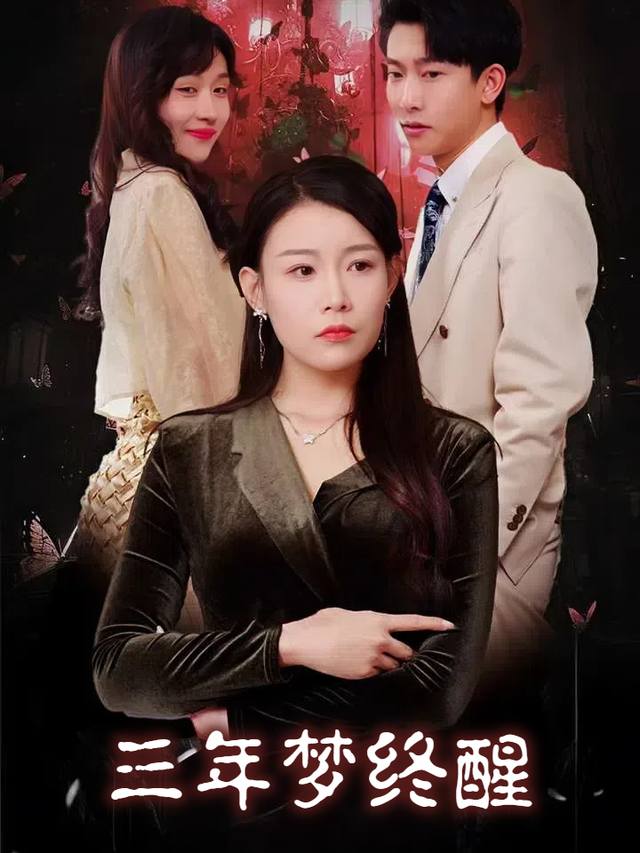 三年梦终醒封面