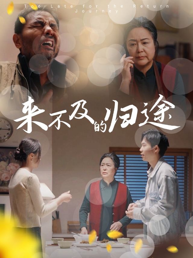 来不及的归途封面