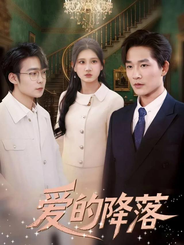 爱的着陆封面