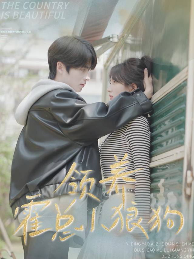 领养霍总小狼狗封面