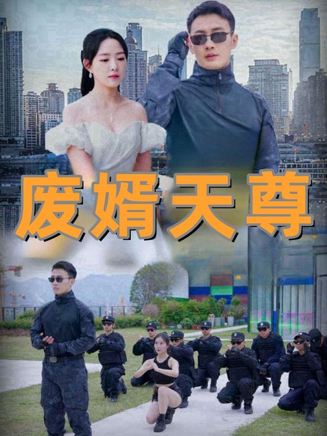 废婿天尊封面