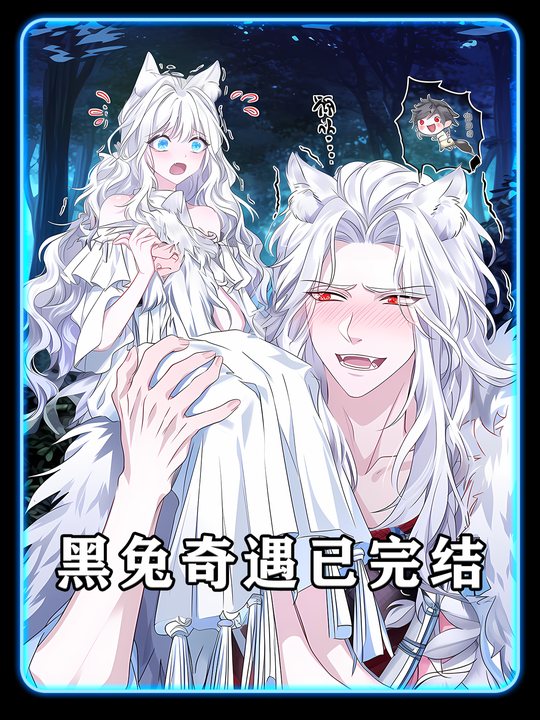 黑兔奇遇已完结封面