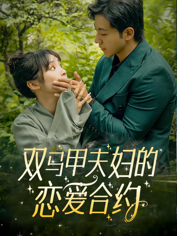 双马甲夫妇的恋爱合约封面