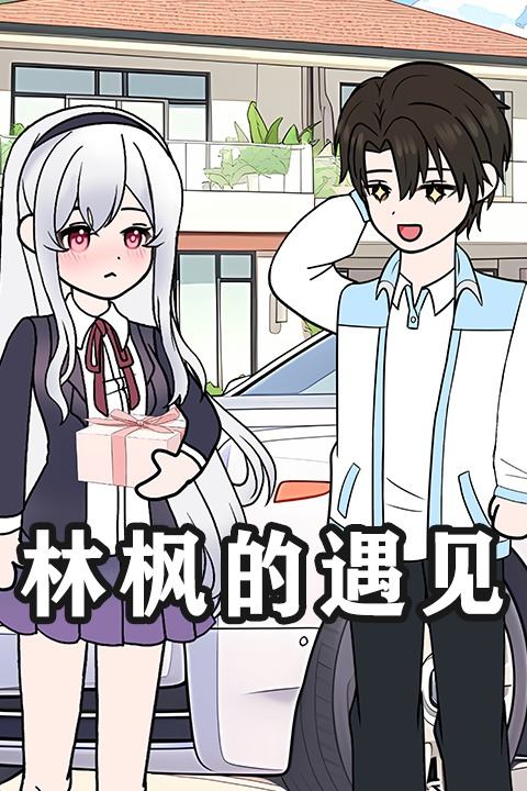 林枫的遇见封面