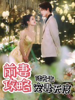 前妻攻略陆先生宠妻无度封面