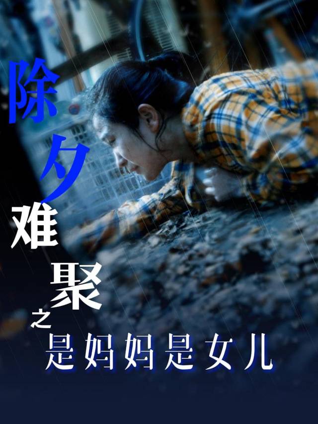 除夕难聚之是妈妈是女儿封面