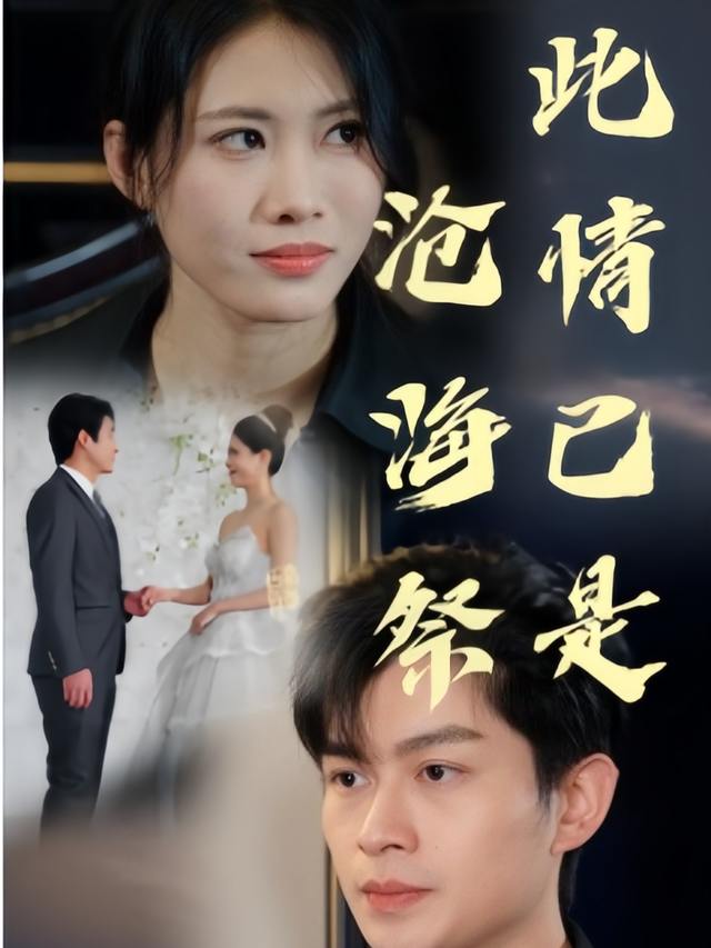 此情已是沧海祭封面