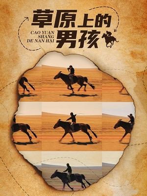 电影草原上的男孩封面