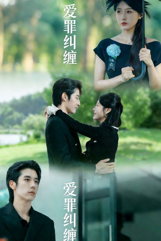 爱罪纠缠封面