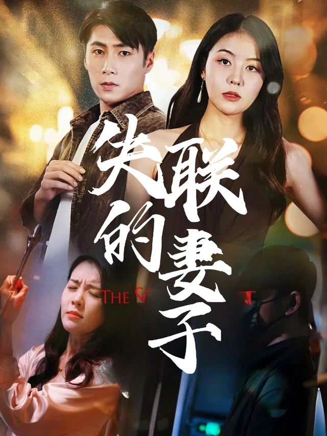 失联的妻子封面