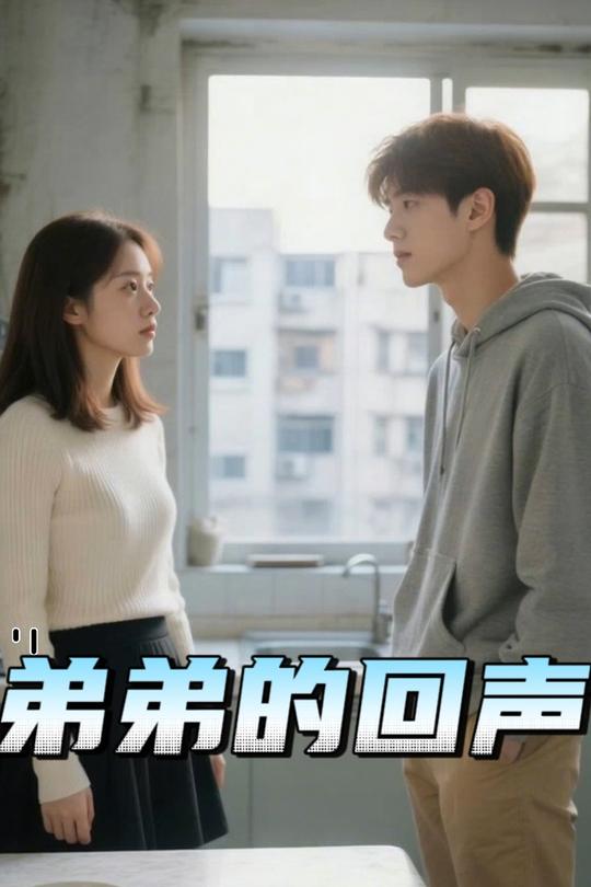 弟弟的回声封面