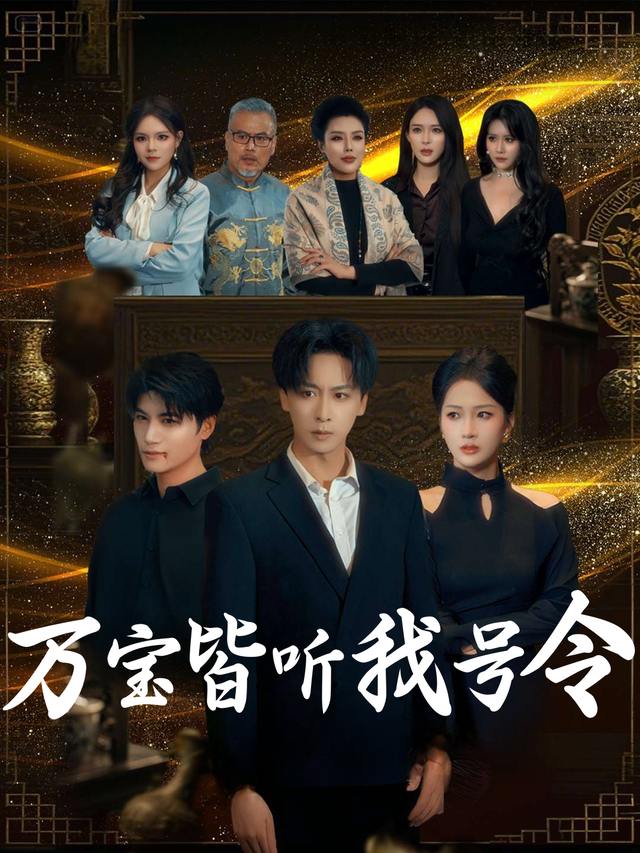 万宝皆听我号令封面