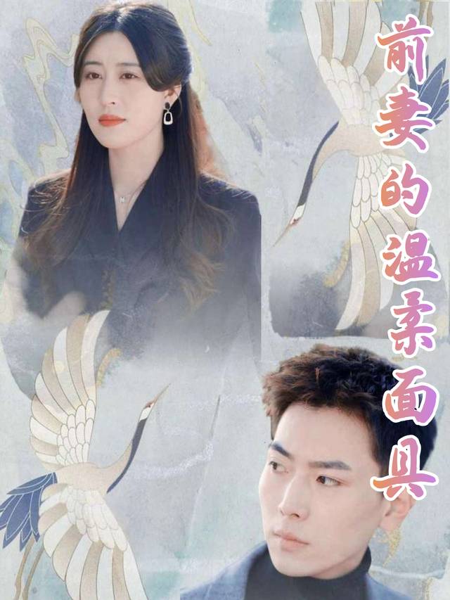 前妻的温柔面具封面